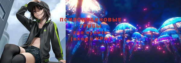 прущие крисы Вязьма