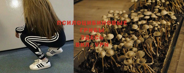 трава Вяземский