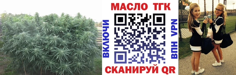 магазин  наркотиков  Серпухов  ТГК THC oil 